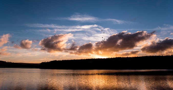 pexels-photo-251306_1